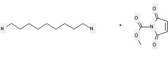 1H-Pyrrole-2,5-dione,1,1'-(1,9-nonanediyl)bis- can be prepared by 2,5-Dioxo-2,5-dihydro-pyrrole-1-carboxylic acid methyl ester and Nonane-1,9-diamine